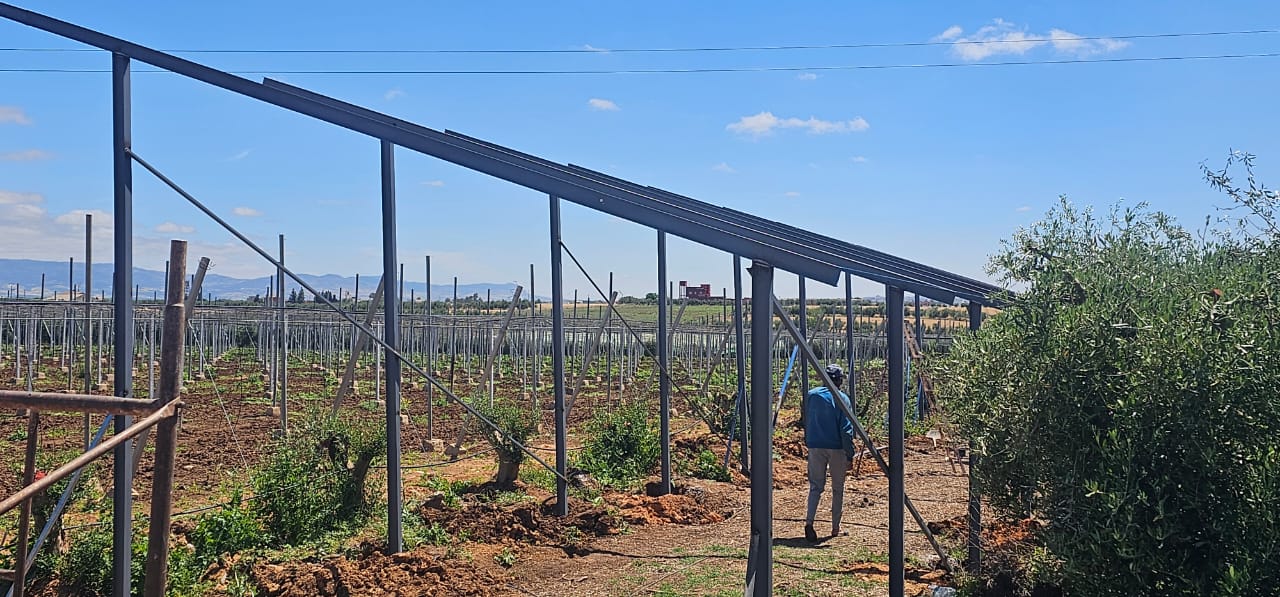 Travailleur installant une structure métallique dans un vignoble
